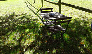 le coin écriture sous le chêne